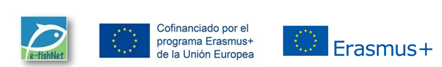 Cabecera 2017 español