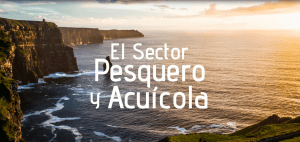 Imagen comunicaciones
