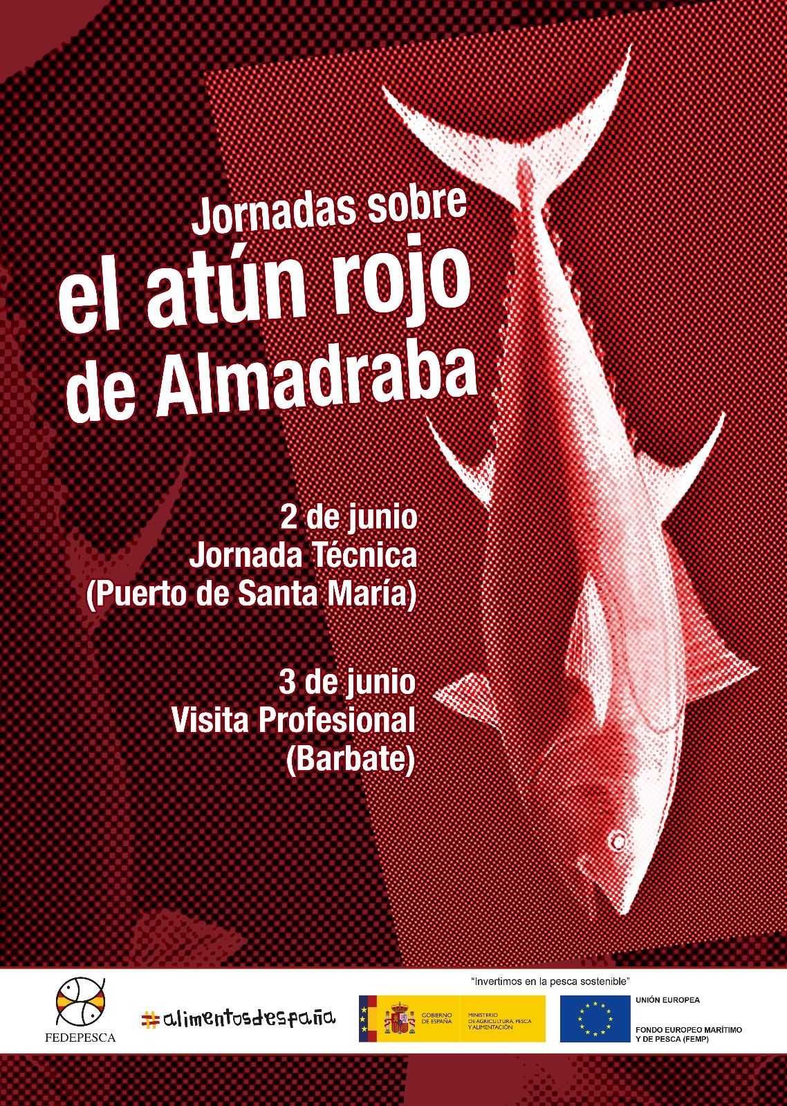 Imagen 1 Jornada Atunes