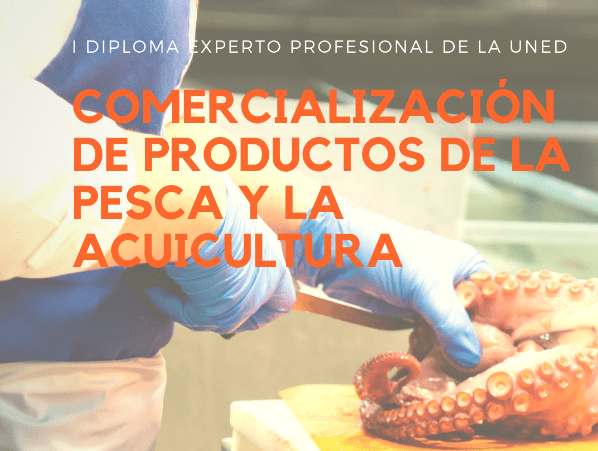 noticia curso