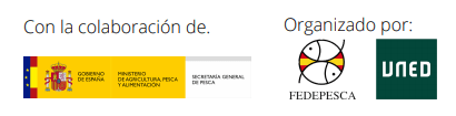 kljfjdklj´la´jlskjf